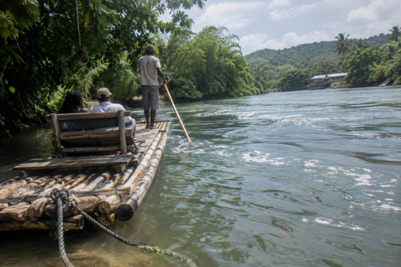 Long bamboo raft resting on a calm green river beside dense forest