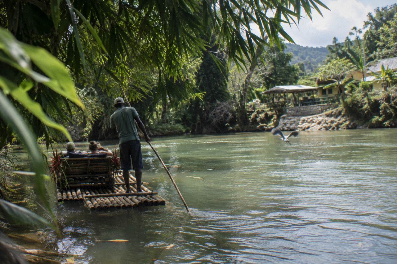 A bamboo raft drifting on a calm green river between overhanging trees