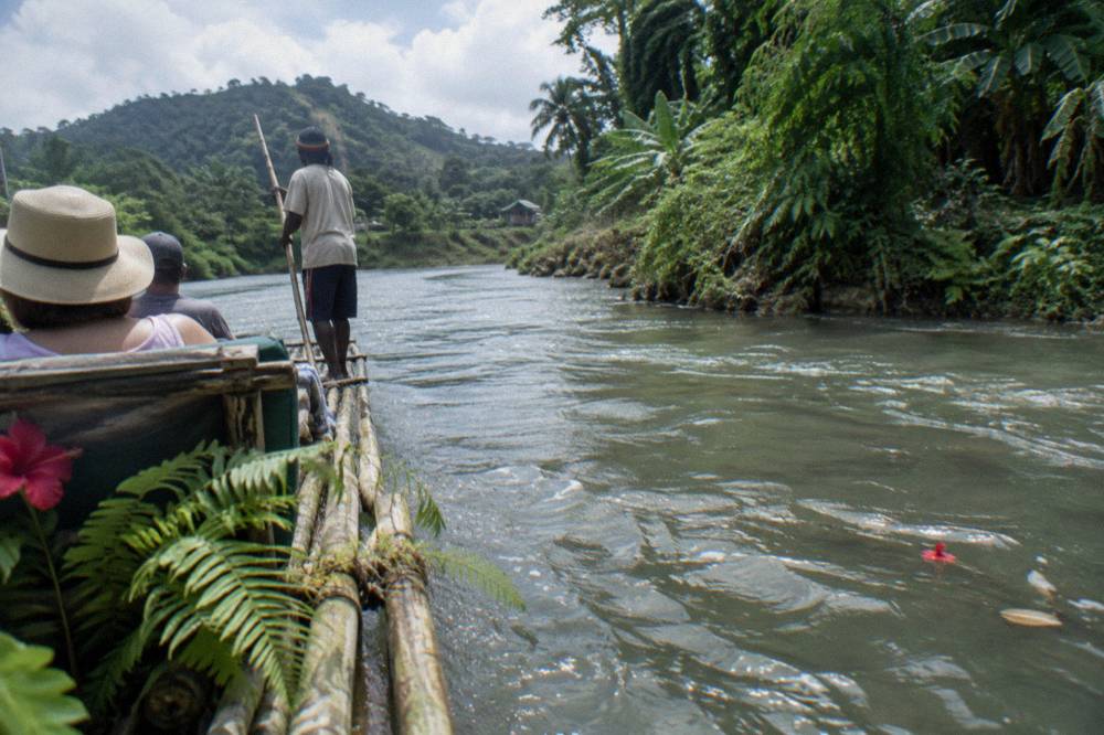 A bamboo raft gliding past dense green riverbank vegetation under a soft sky