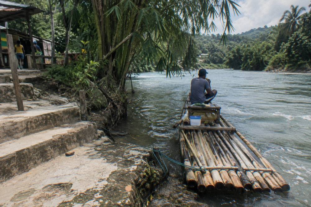 A bamboo raft moored at a riverbank landing beside overhanging trees