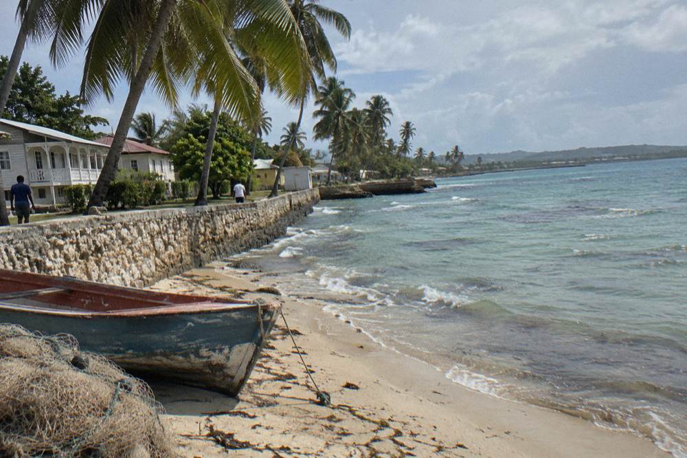 Palm trees and calm turquoise water along a quiet north coast shoreline
