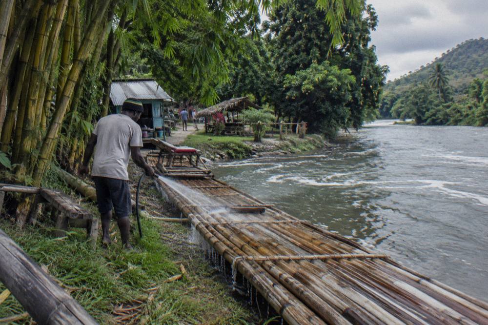 A long bamboo raft resting at a riverbank landing surrounded by tall trees