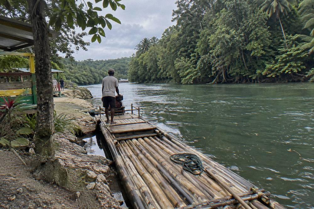 A bamboo raft resting at a river landing beside tall trees and still green water