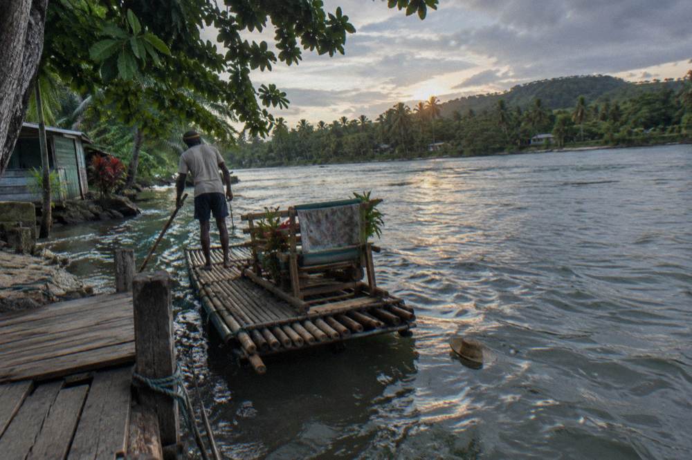 A bamboo raft moored at a small wooden landing under overhanging tropical trees