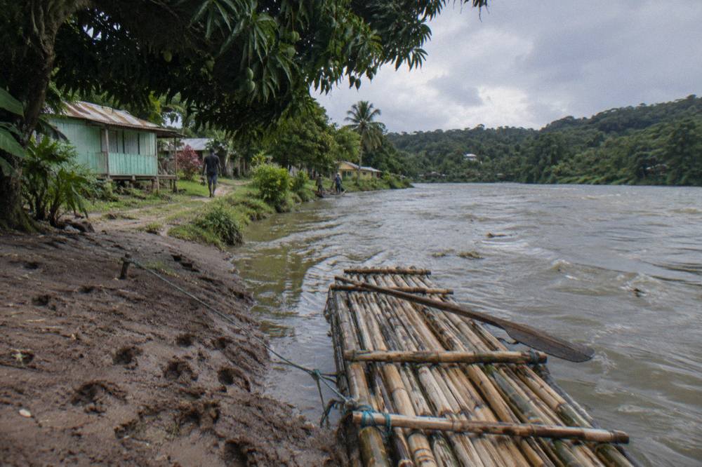 A bamboo raft moored at a riverbank landing among tall trees