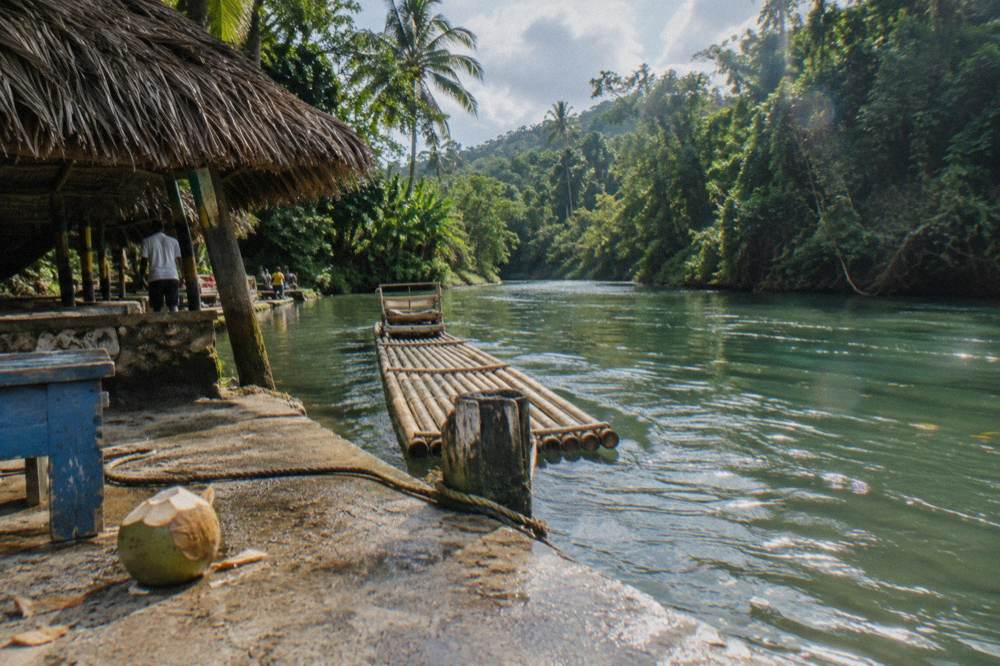 Sunlight over a calm river bend flanked by dense green forest