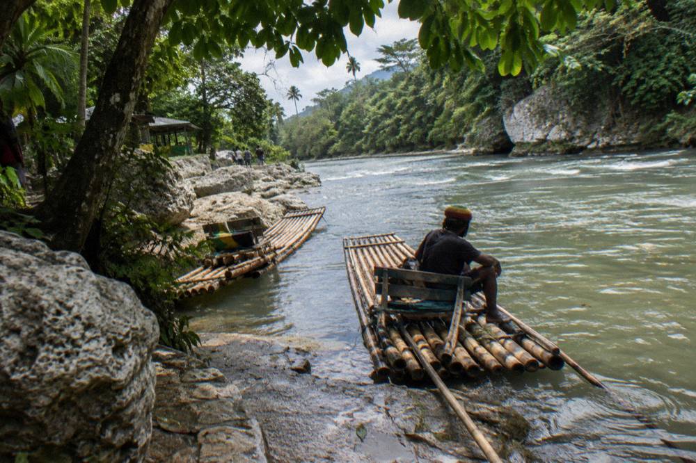 Bamboo rafts moored at a river landing beneath overhanging tropical foliage
