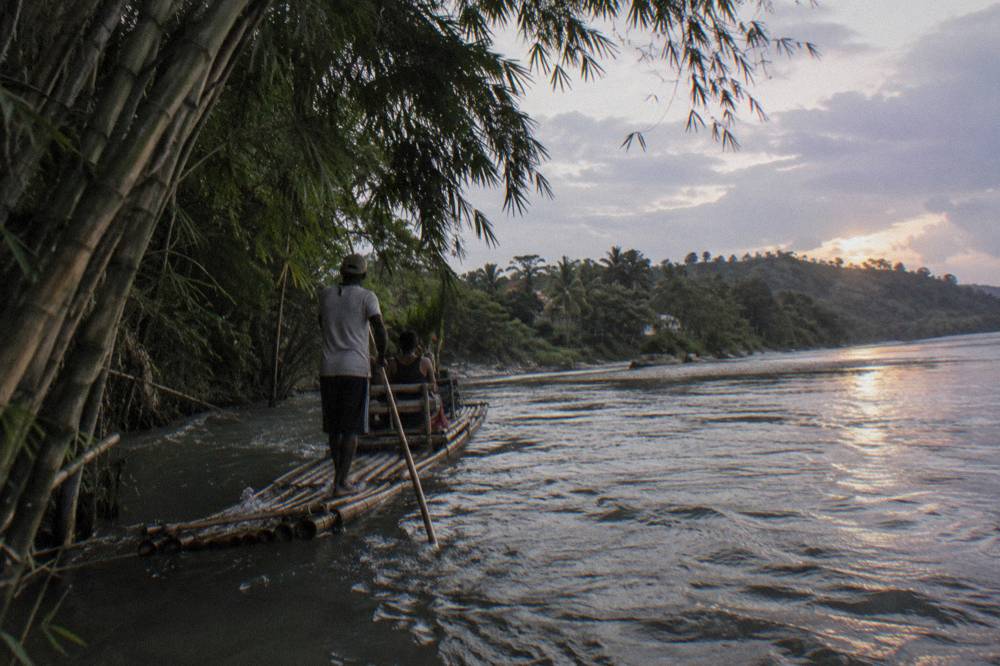 A bamboo raft drifting past tall bamboo stands leaning over still water in soft light