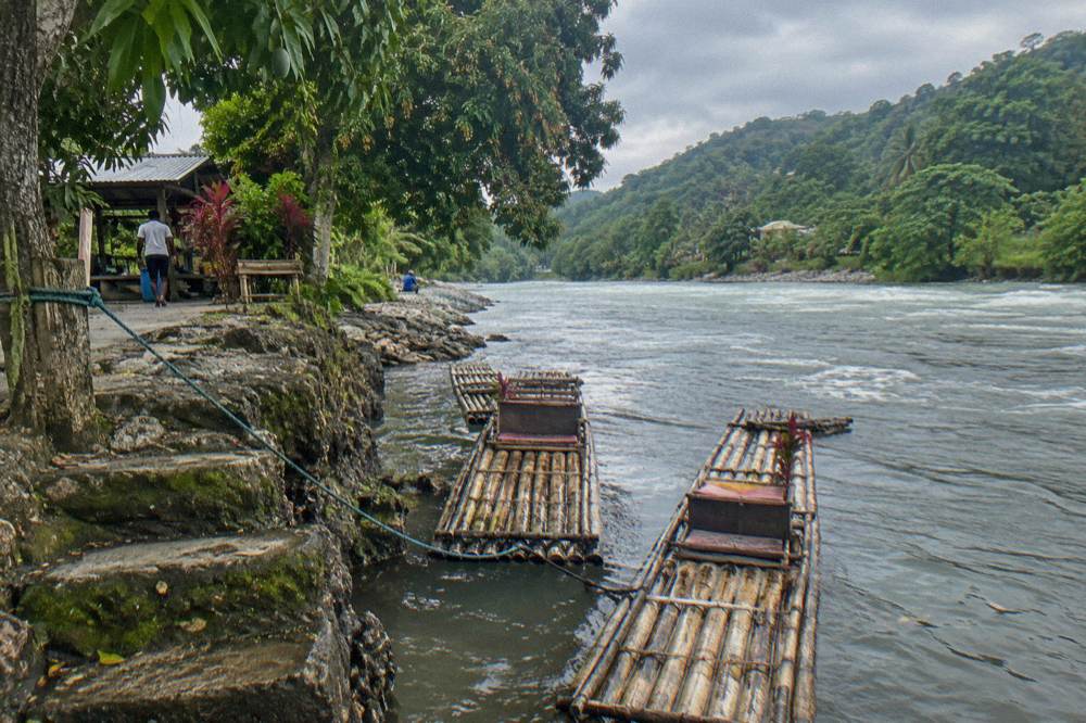 Two bamboo rafts tied at a quiet river landing beneath tall trees