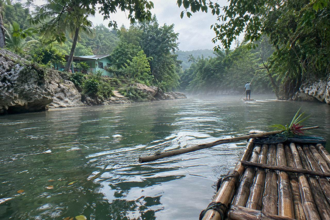 A long bamboo raft resting on calm green river water beneath overhanging trees