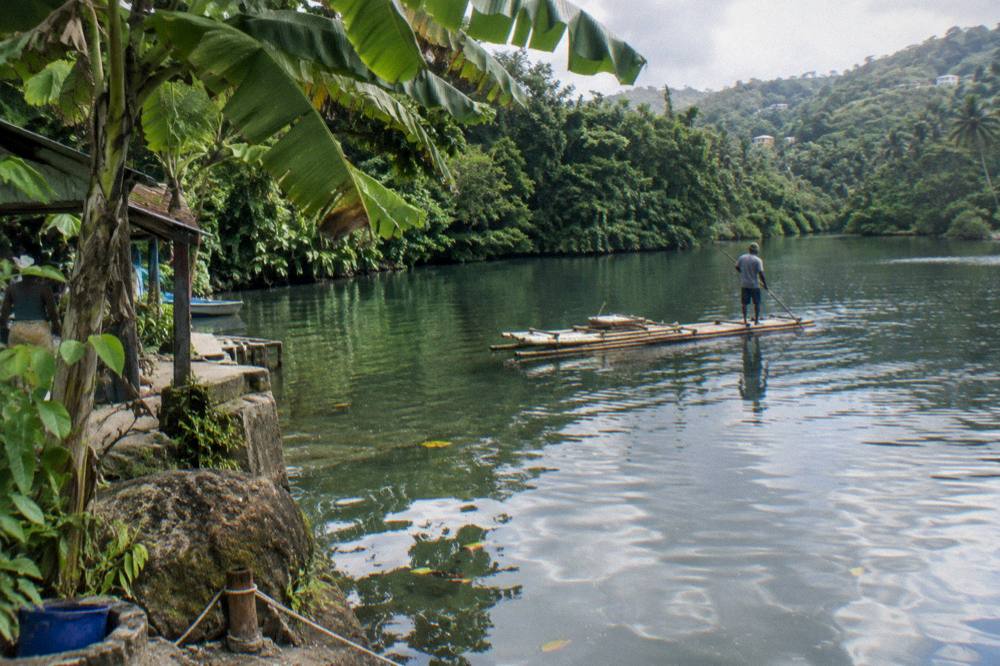 A still pool in a jungle river reflecting overhanging banana leaves and dense green vegetation