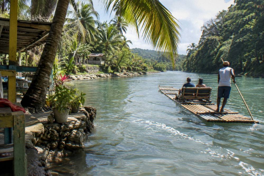 Sunlight through palm fronds over calm river water at midday