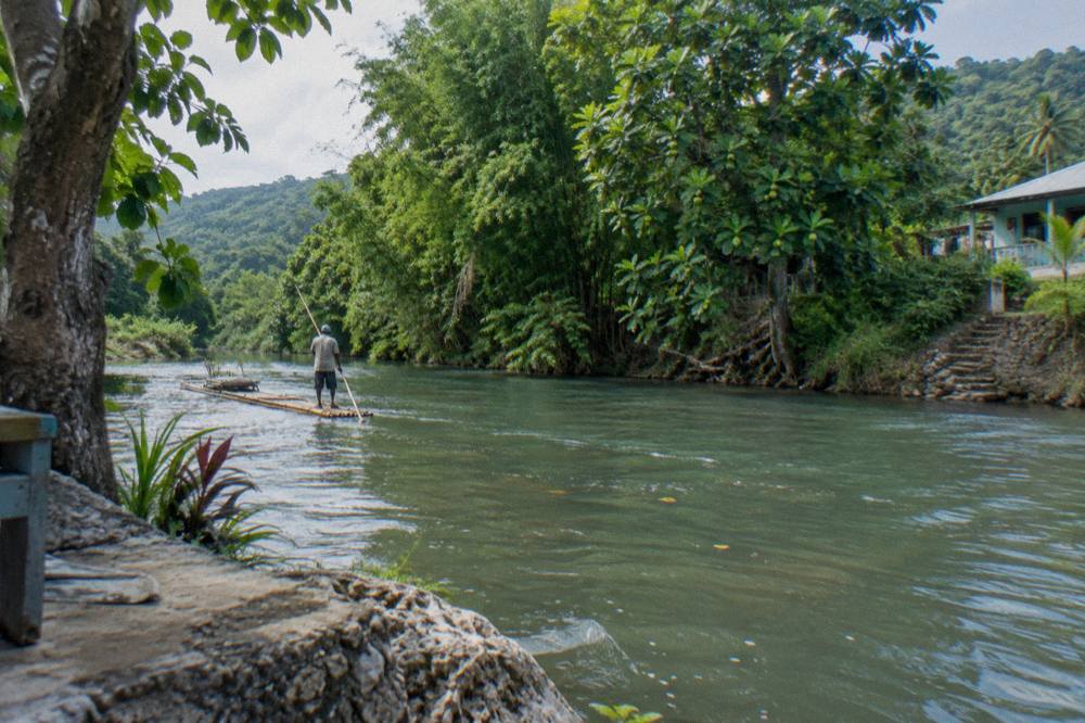 A bamboo raft captain poling along a slow green river past dense bankside vegetation