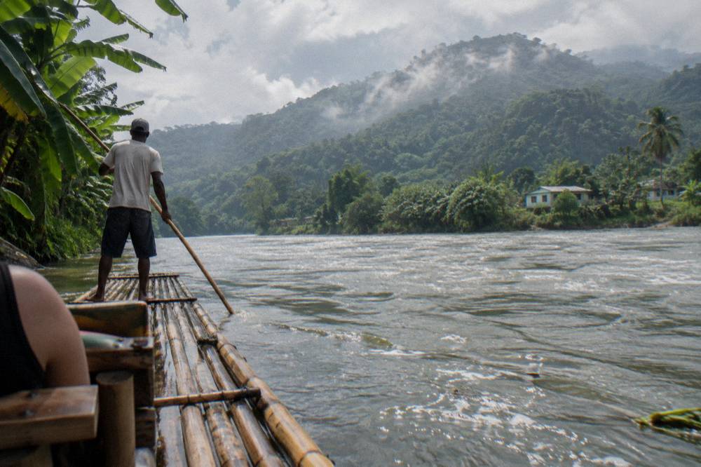 A wide bamboo raft drifting through a lush rainforest valley with mist on the hills
