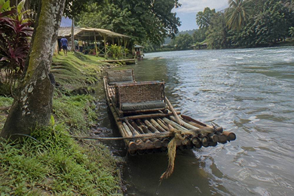A bamboo raft moored at a grassy riverbank landing under tall trees