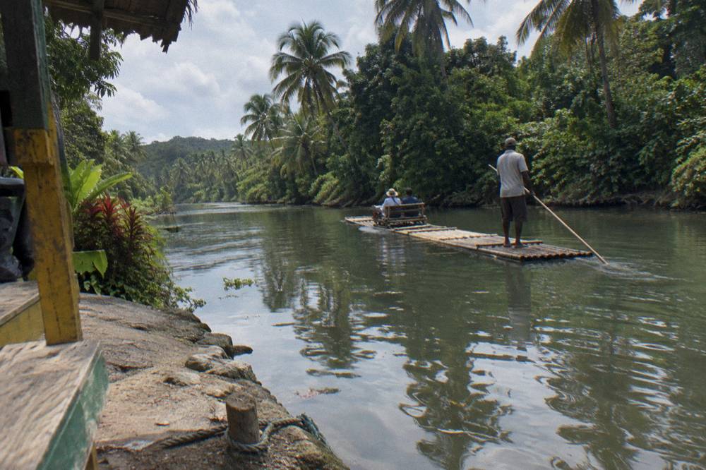 Calm river surface reflecting palm trees and dense vegetation along both banks