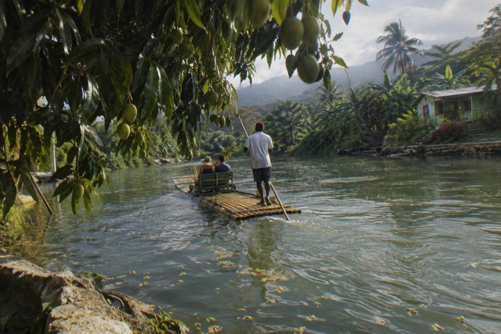 A bamboo raft floating past overhanging trees on a slow green river