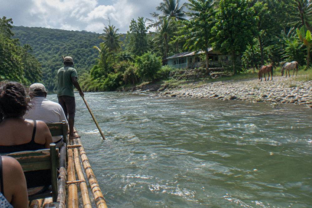 A pair of horses standing in shallow river water beside a bamboo raft