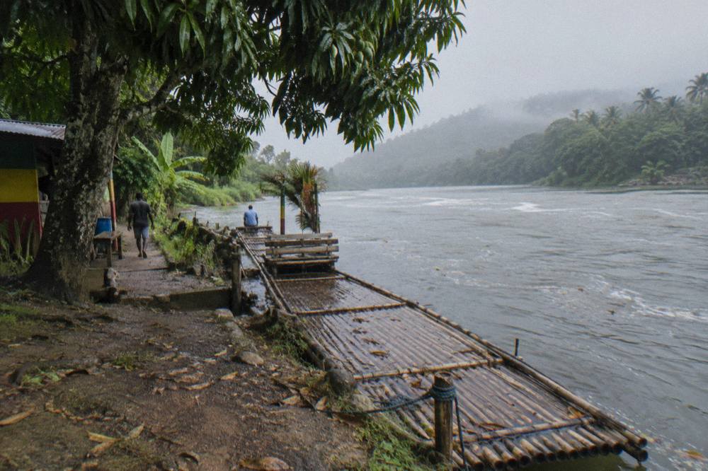 A bamboo raft moored at a quiet riverbank landing surrounded by tall trees