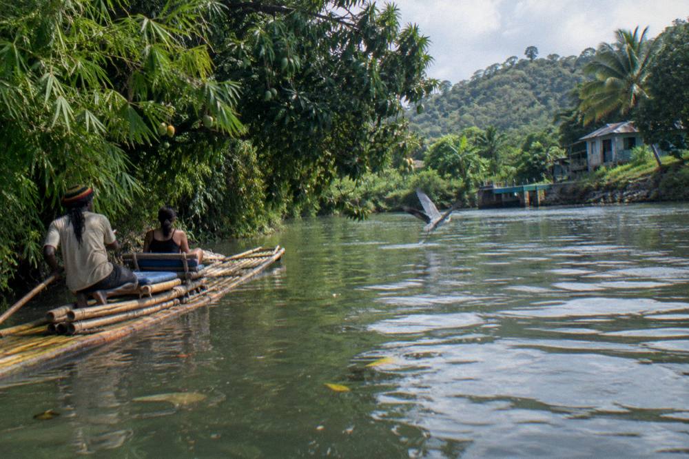 A bamboo raft gliding past overhanging trees on still water at the river's edge