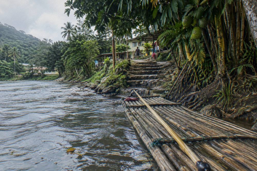 A bamboo raft resting at a riverbank landing beneath tall trees