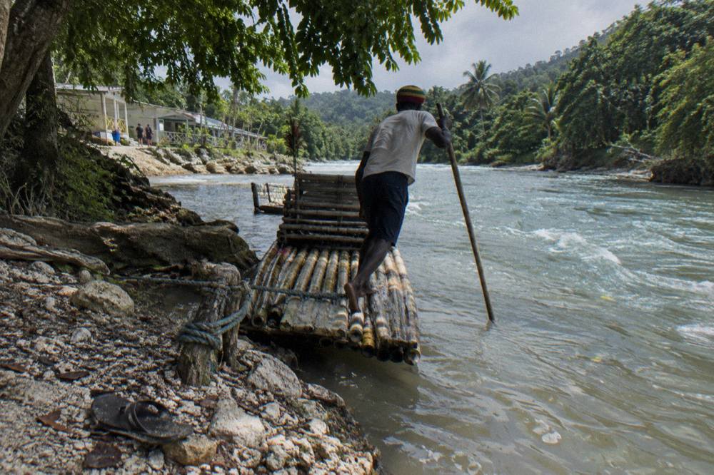 A bamboo raft resting at a river bank beside overhanging green trees