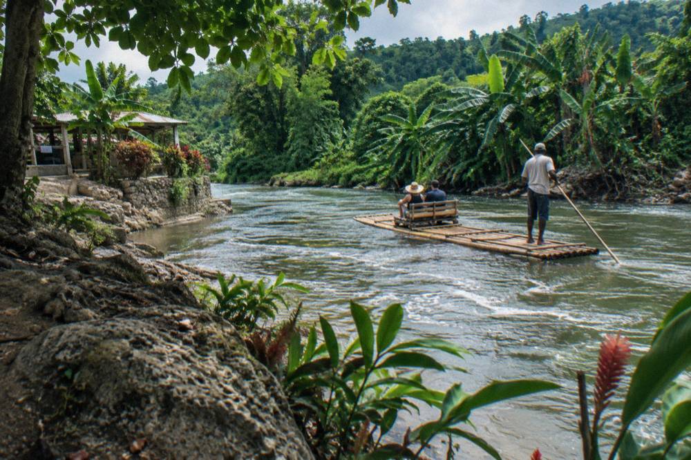 A bamboo raft drifting slowly past a green riverbank with dense foliage