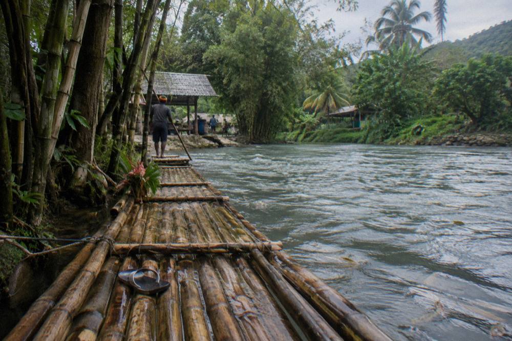 A long bamboo raft moored at a riverbank landing among tall trees