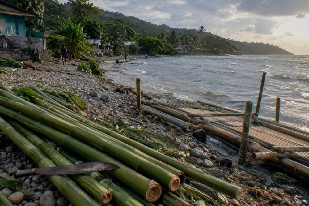Fresh cut bamboo poles stacked beside a riverbank under trees